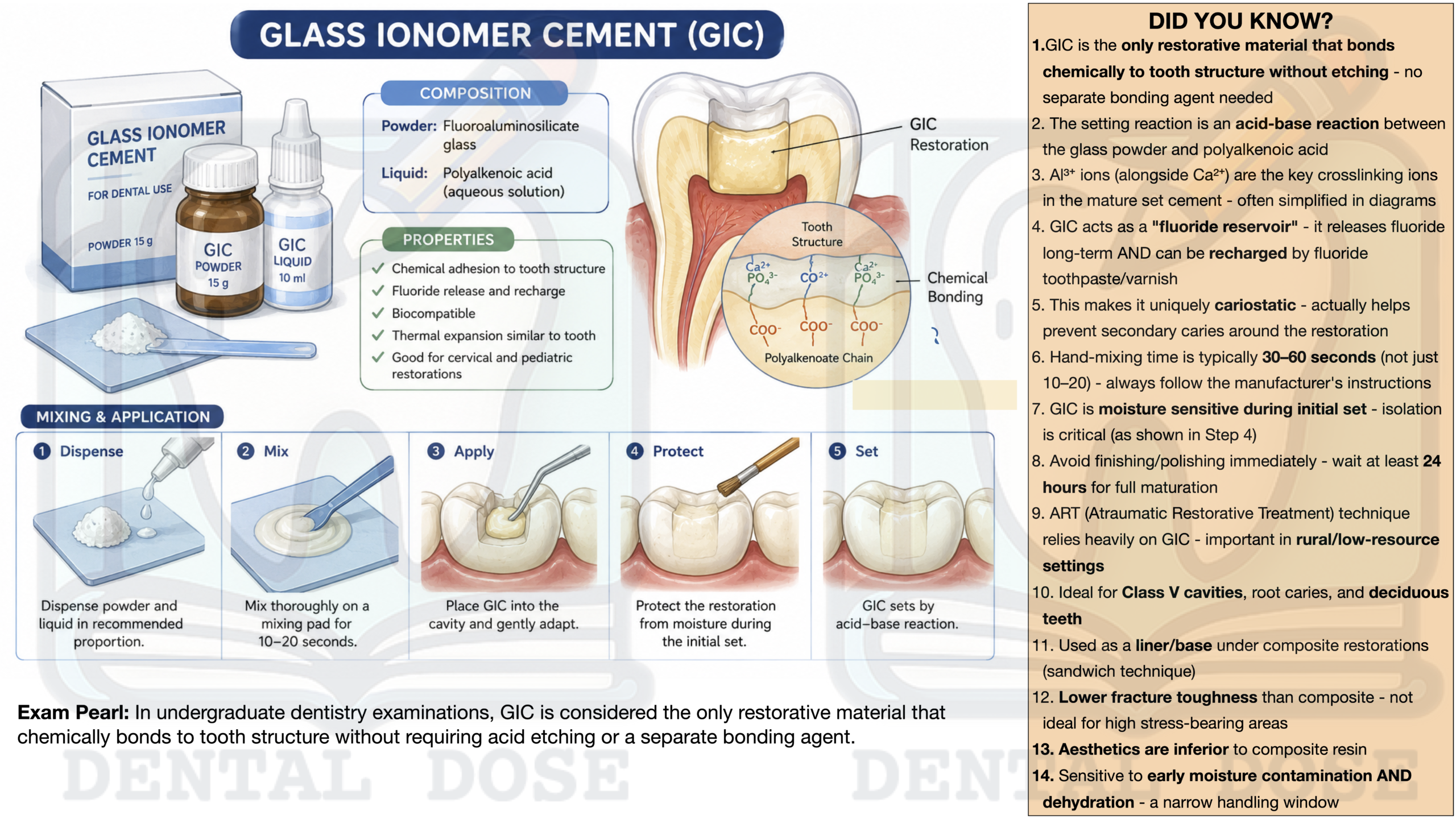 Educational dental infographic on Glass Ionomer Cement (GIC) covering composition, setting reaction, fluoride release, chemical adhesion, clinical applications, ART technique, indications, disadvantages, and key BDS examination pearls.